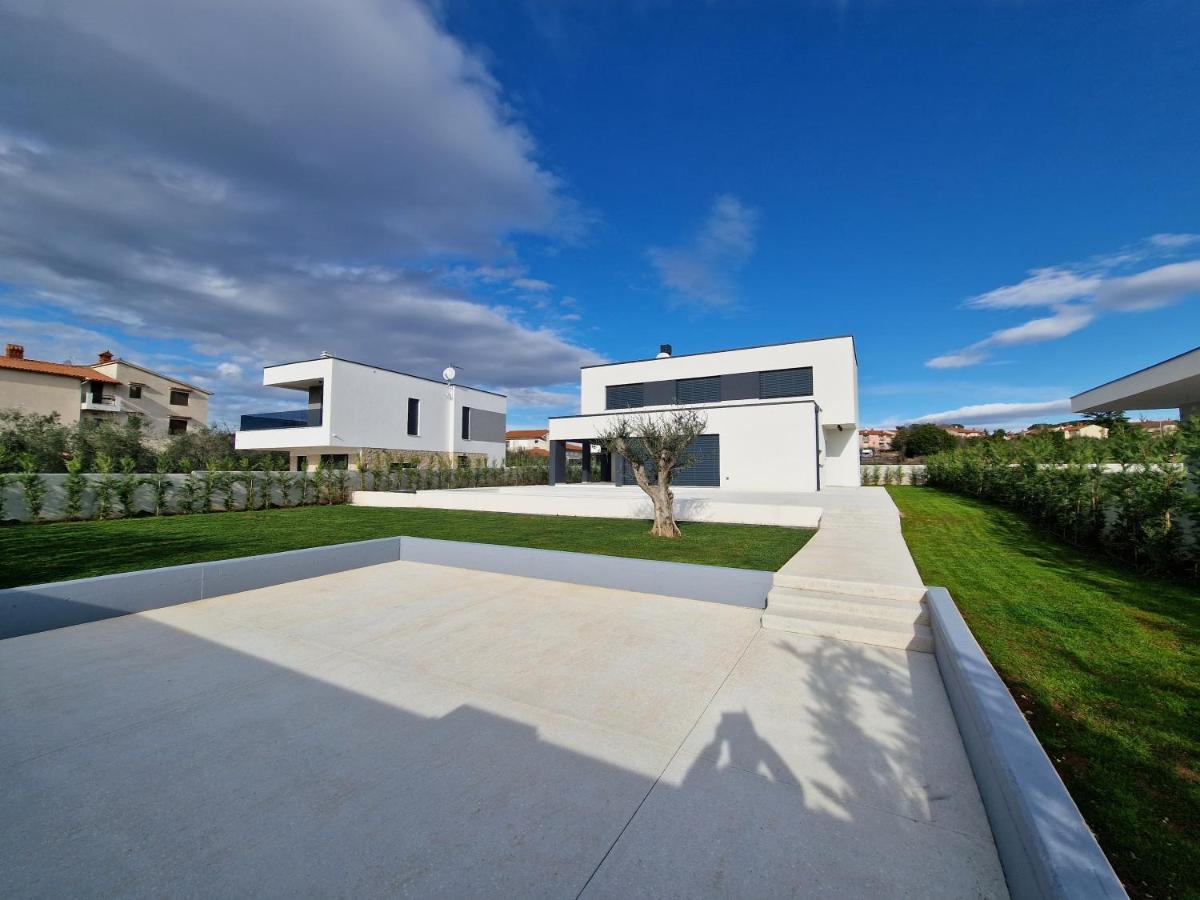 Amazing Private Villa With Outdoor Swimming Pool In Vodnjan Esterno foto